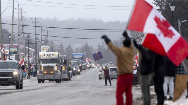 Canadienses protestan contra la vacunación obligatoria de camioneros